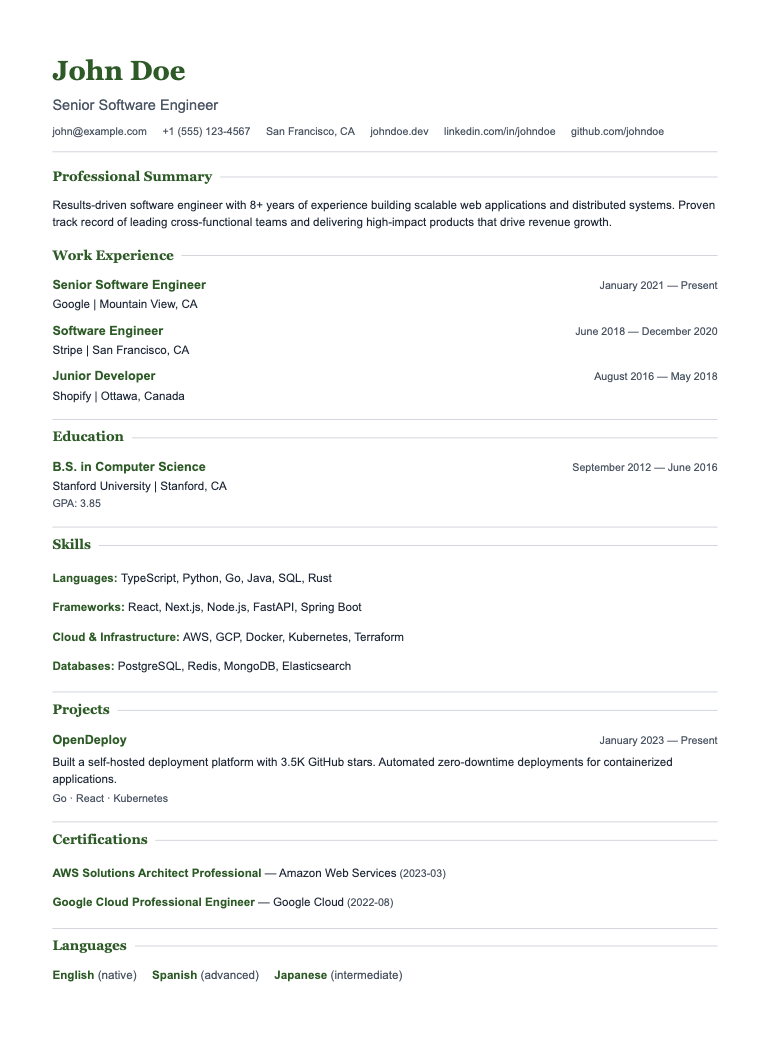Civic resume template preview