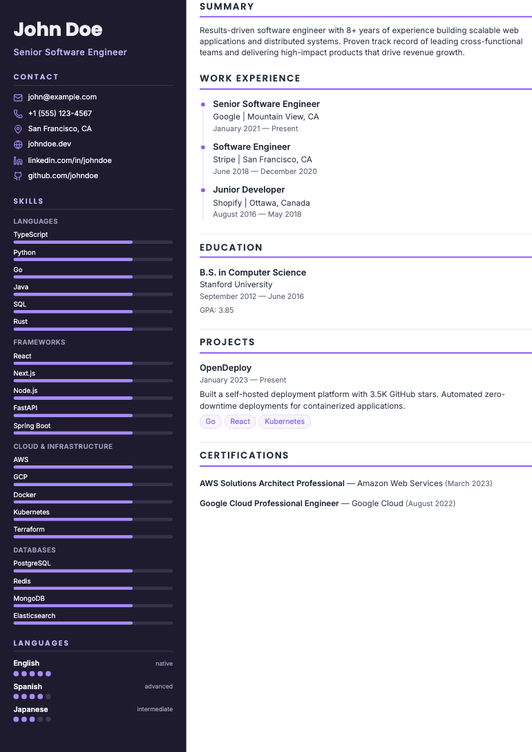 Infographic resume template preview